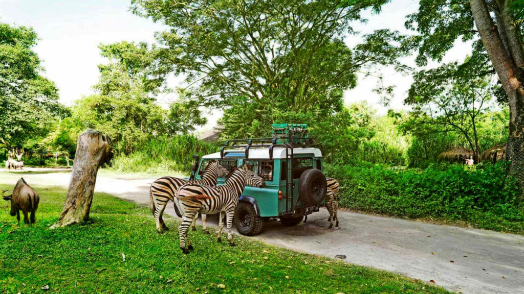 Bali Safari And Marine Park Feature Image